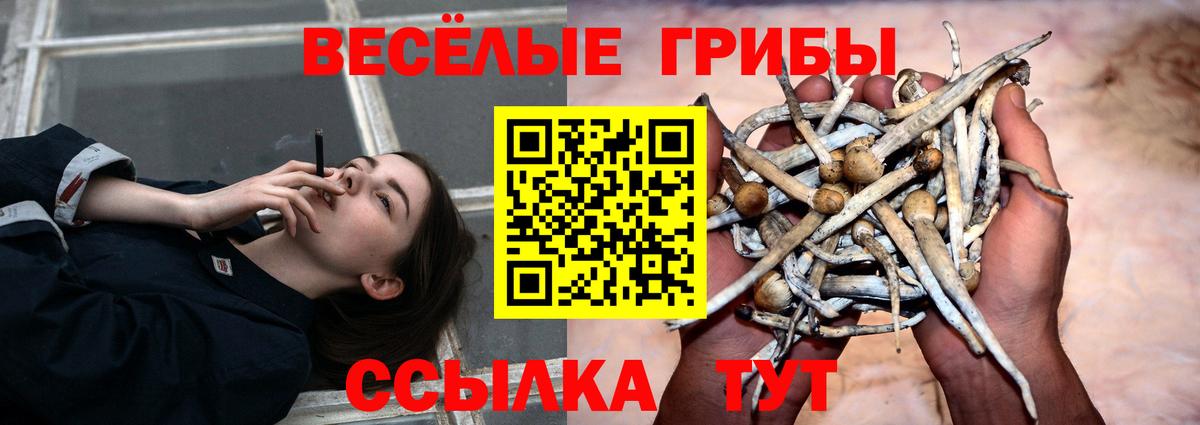 Малгобек  Галлюциногенные грибы Magic Shrooms  Вход с VPN 